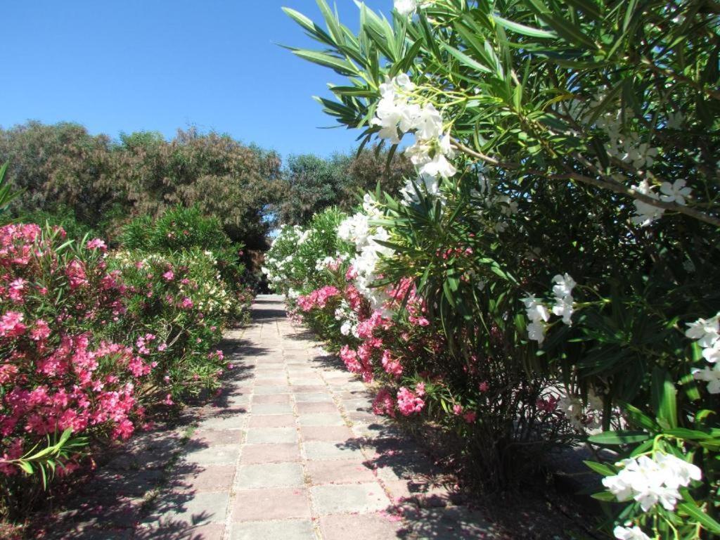 Happy Camp Mobile Homes In Camping Village Baia Paradiso Badesi Εξωτερικό φωτογραφία