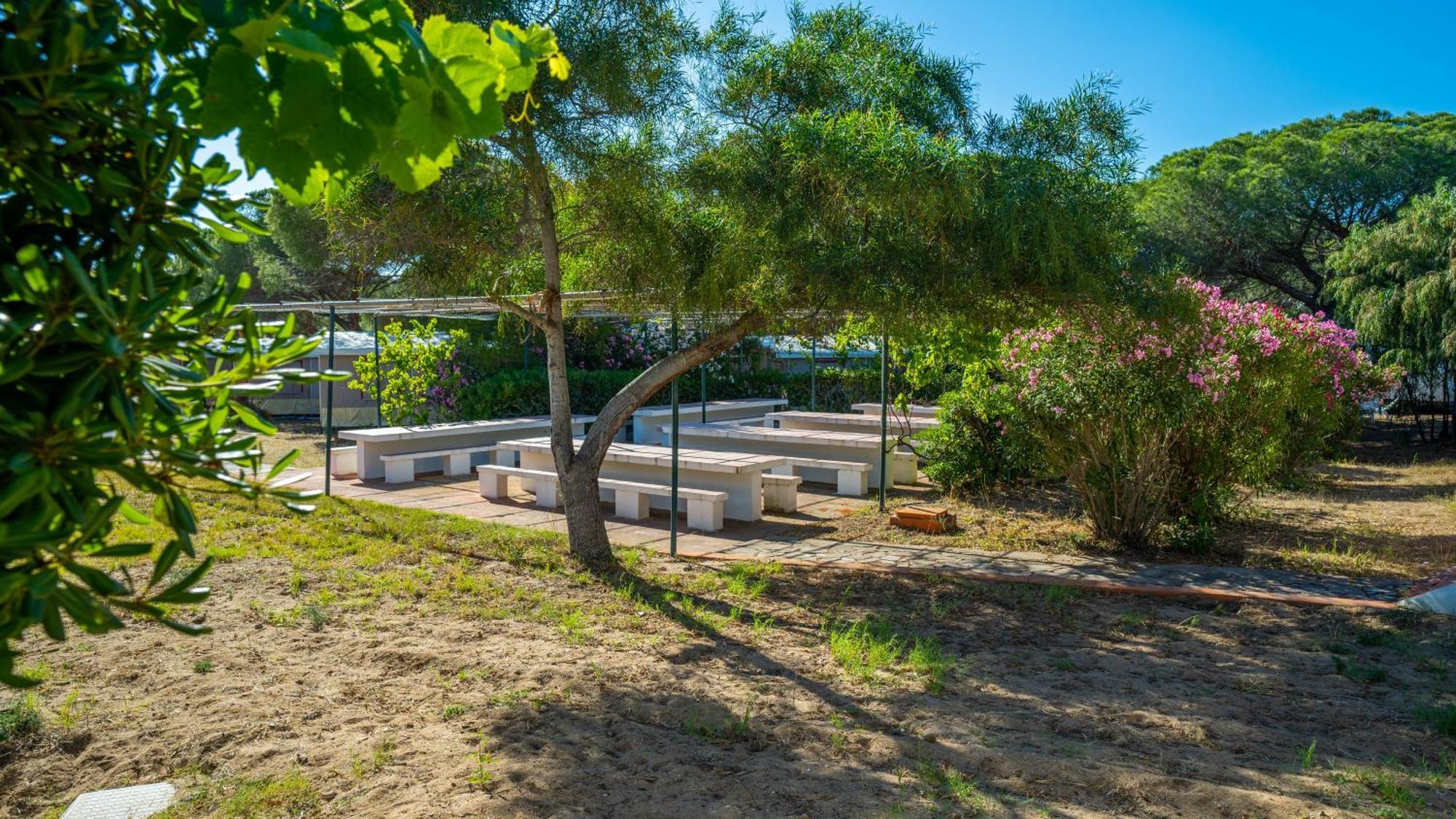 Happy Camp Mobile Homes In Camping Village Baia Paradiso Badesi Εξωτερικό φωτογραφία